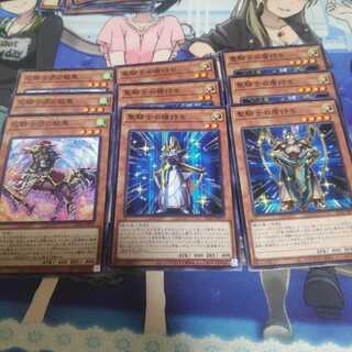 Anicro Holy Knight Set 1枚