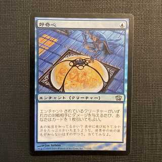 8ED [Curiosity] Japanese Foil