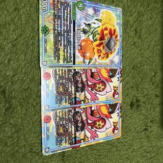 ダチッコ2枚、マリゴルド1枚