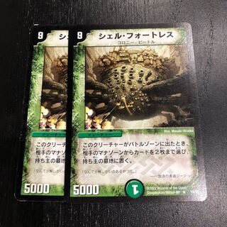 シェルフォートレス 2枚