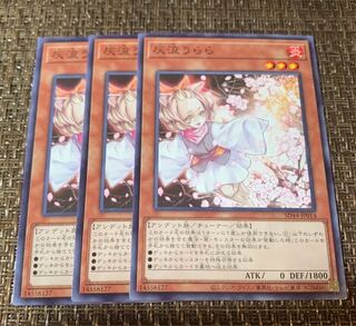 Set of 3 Ash Blossom & Joyous Spring, King of Yu-Gi-Oh, General Purpose