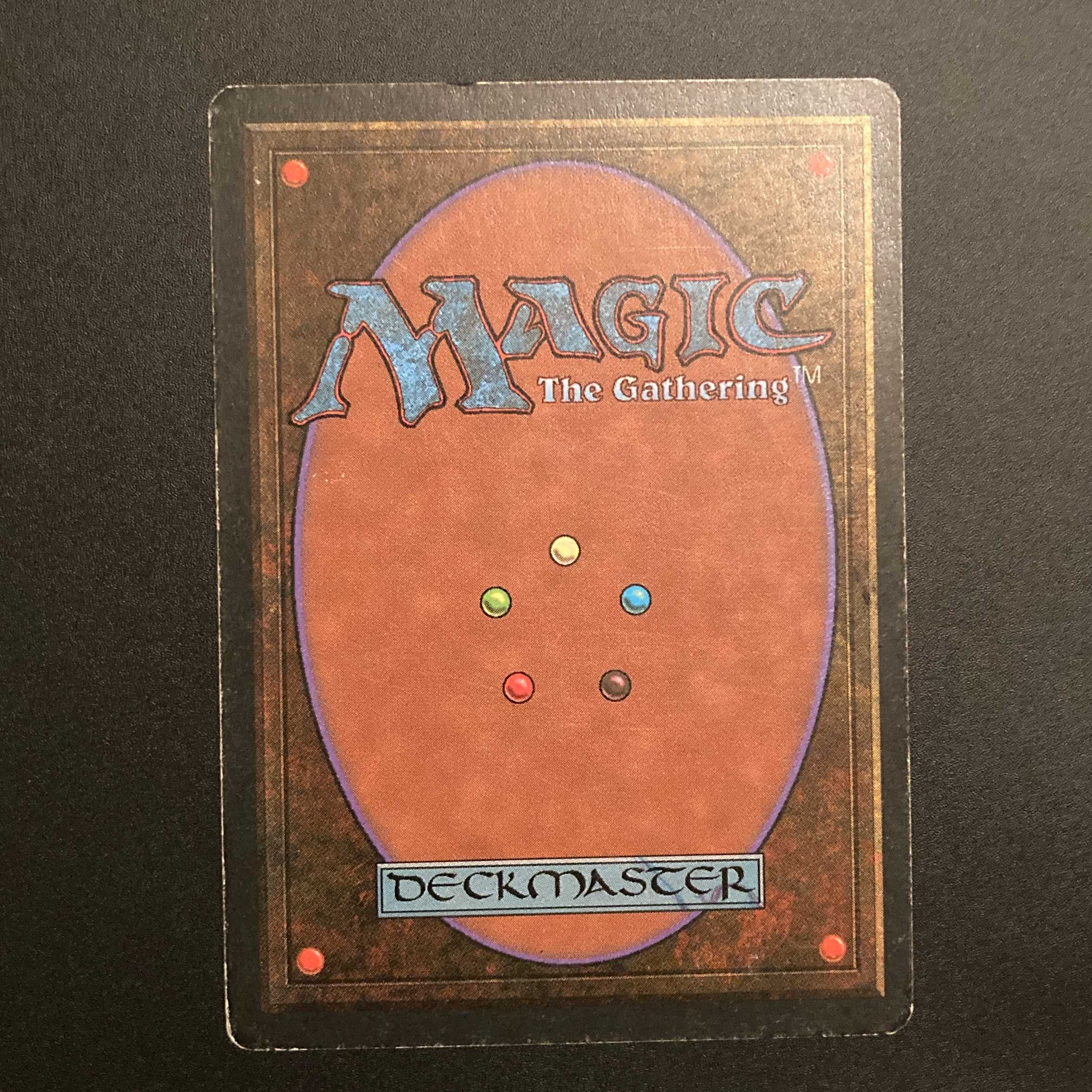 3EDBB【Scrubland】フランス語