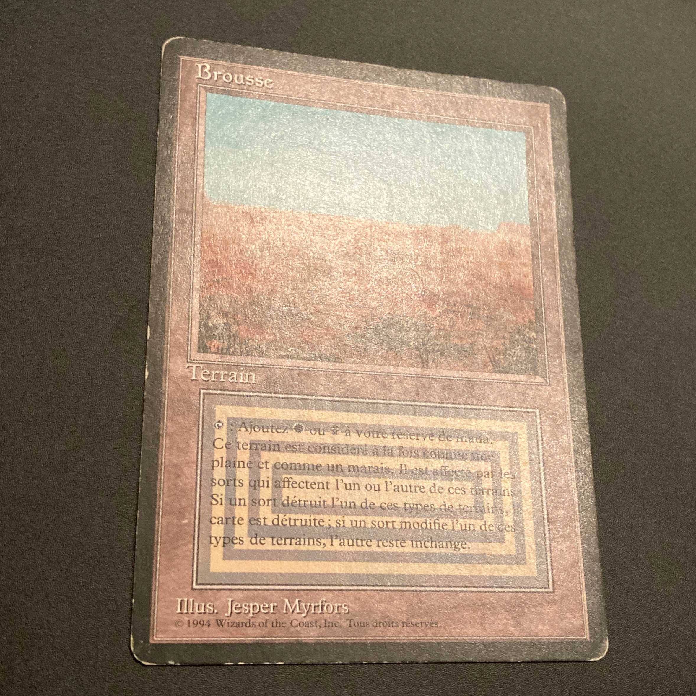 3EDBB【Scrubland】フランス語