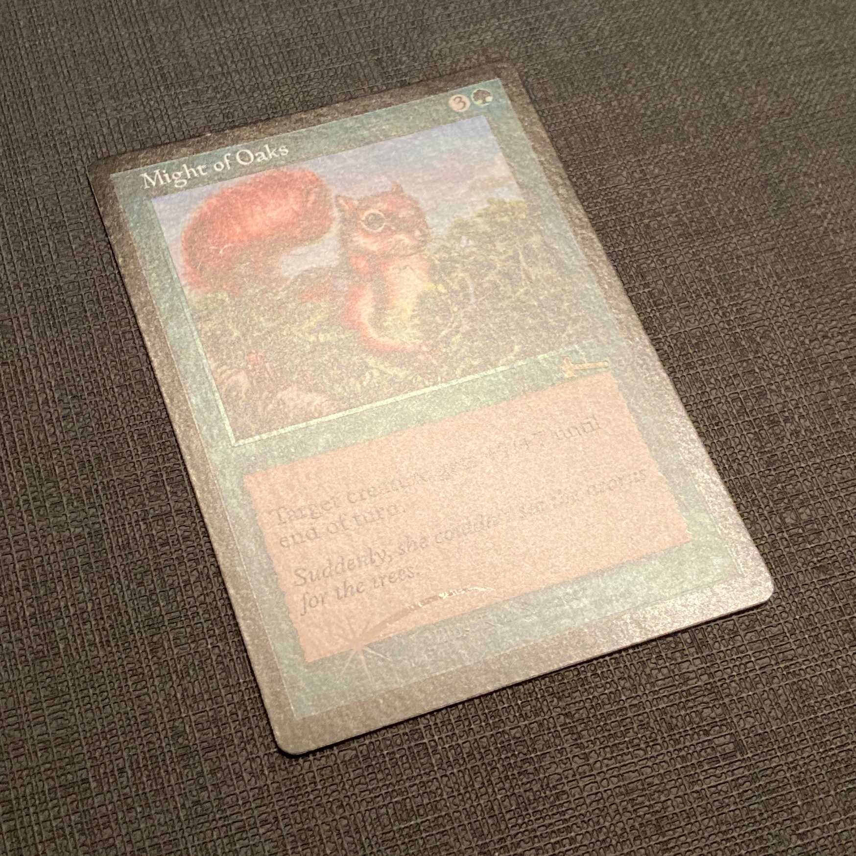 ULG【樫の力】英語 Foil