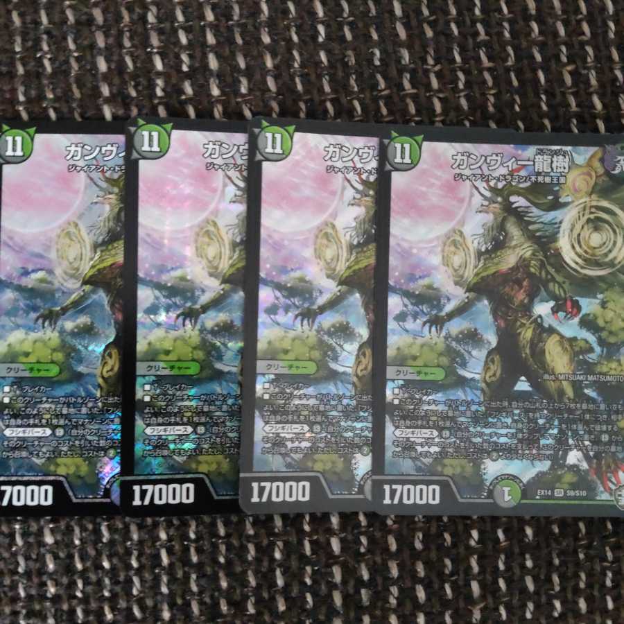 ガンヴィー龍樹