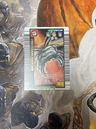 Insect King Alcides giant flatback stag beetle