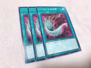 ハーピィの羽根帚 ノーマル　３枚♡おまけ付き♡