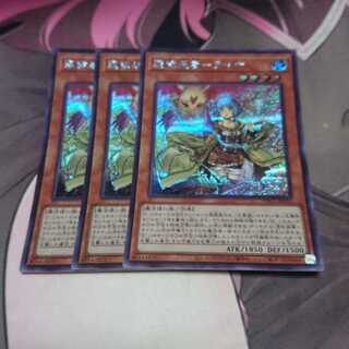 憑依装着-ライナ シークレットレア 3枚