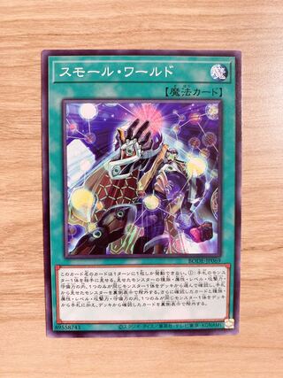 スモール・ワールド ♡おまけ付き♡ 1枚