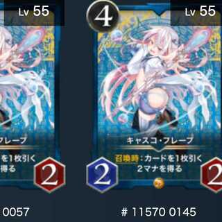 キャスコ・フレープ　2枚セット