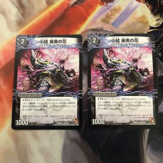 小結 座美の花｜雲龍 ディス・イズ・大横綱(下) 2枚