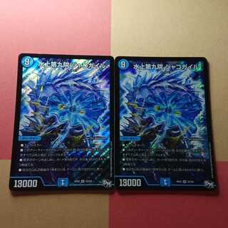 水上第九院 シャコガイル