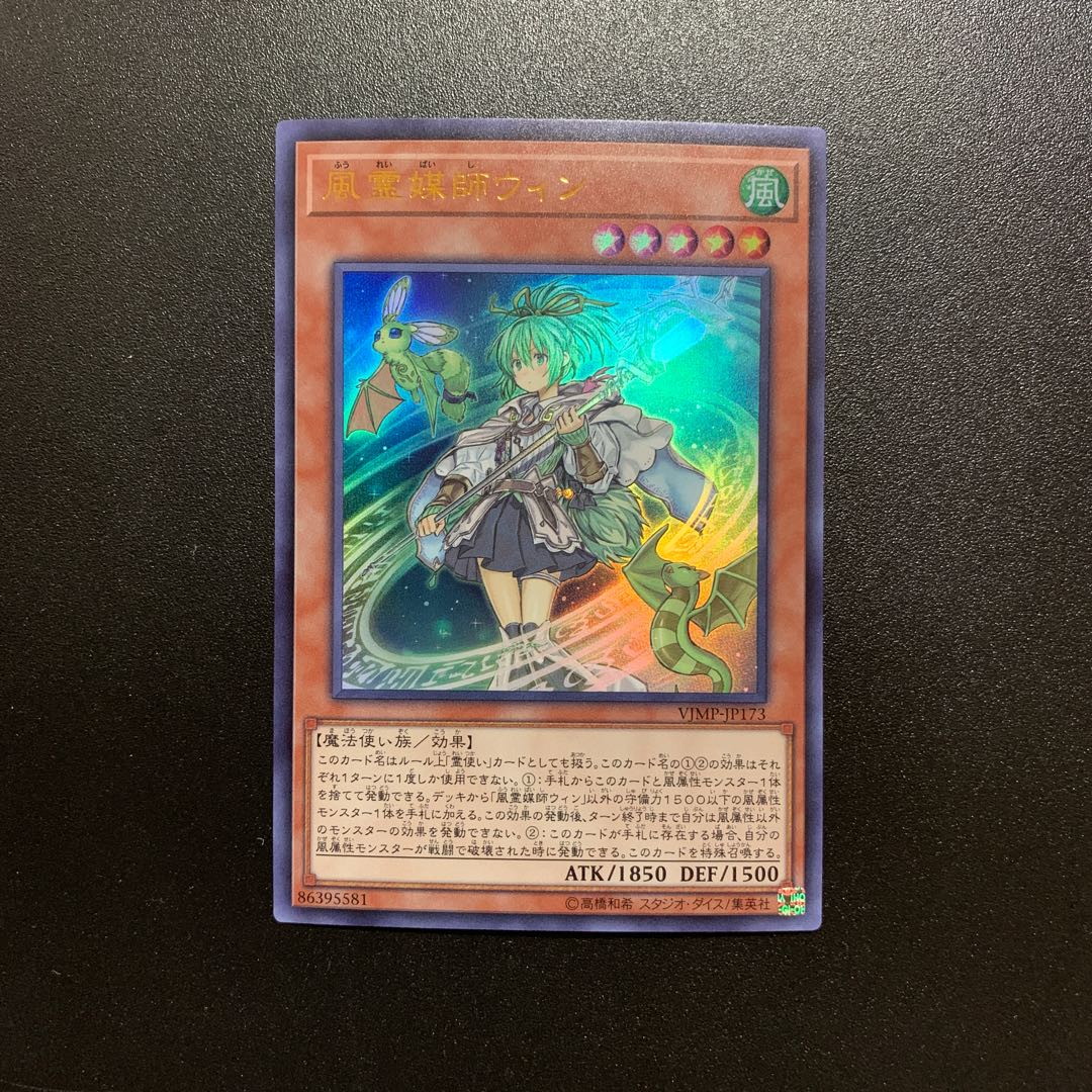 風霊媒師ウィン