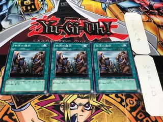 苦渋の選択 DL1 ノーマル 3枚セット てら