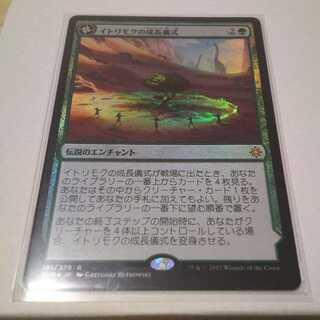 イトリモクの成長儀式（Foil版）