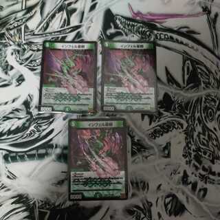 Infelix star tree (species of sedge, Infelix infelix)