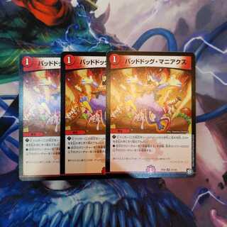 バッドドッグ・マニアクス　3枚