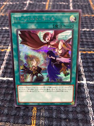 【LL-バード・コール】ｼｰｸﾚｯﾄ