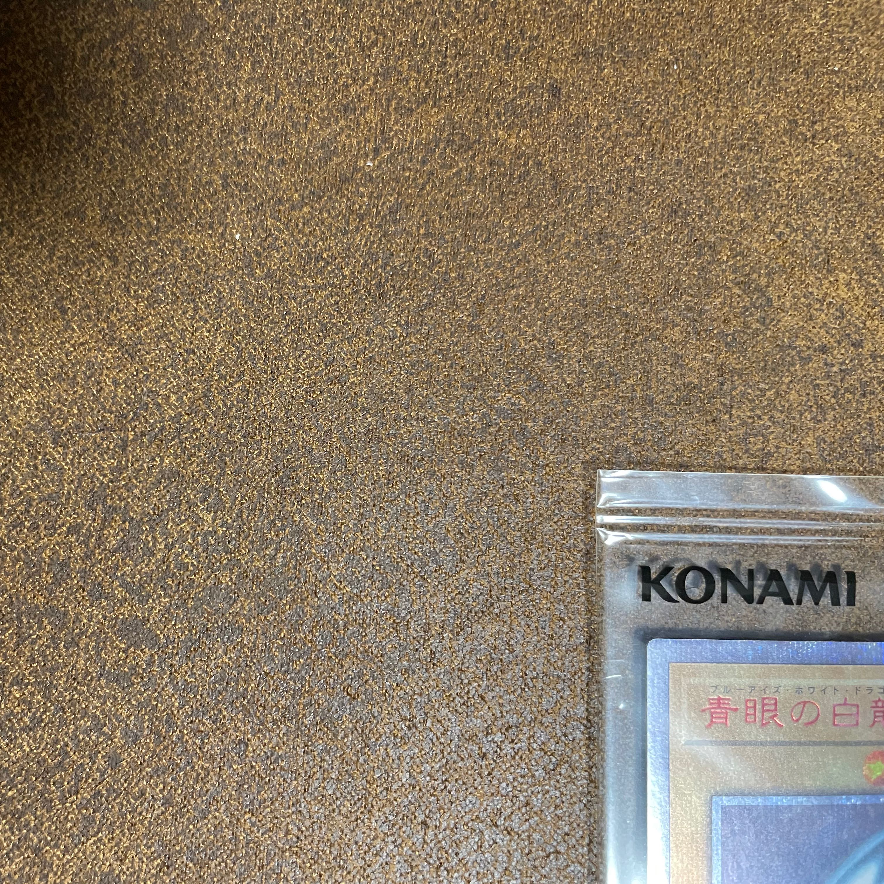 WCS2018ブルーアイズ