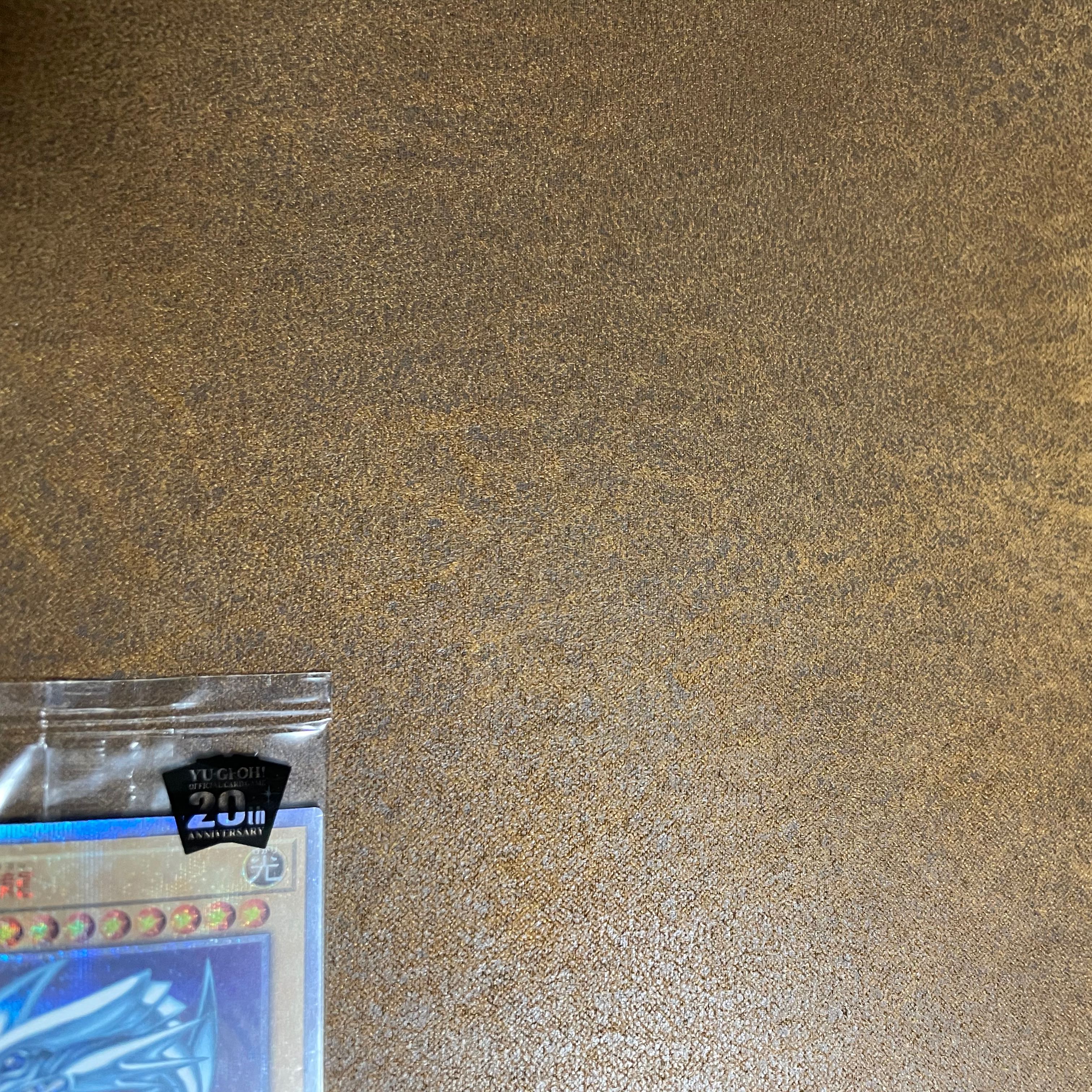 WCS2018ブルーアイズ