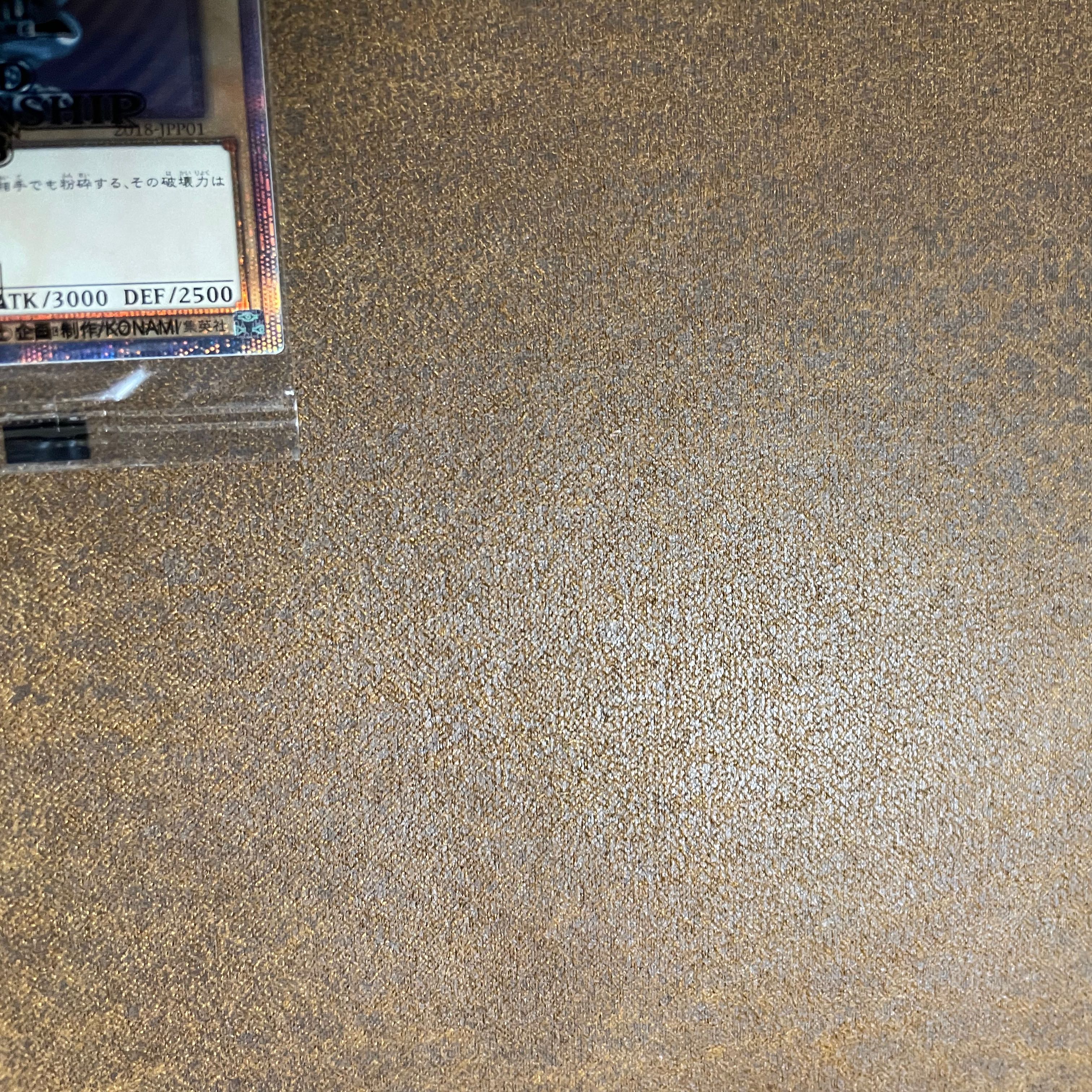 WCS2018ブルーアイズ