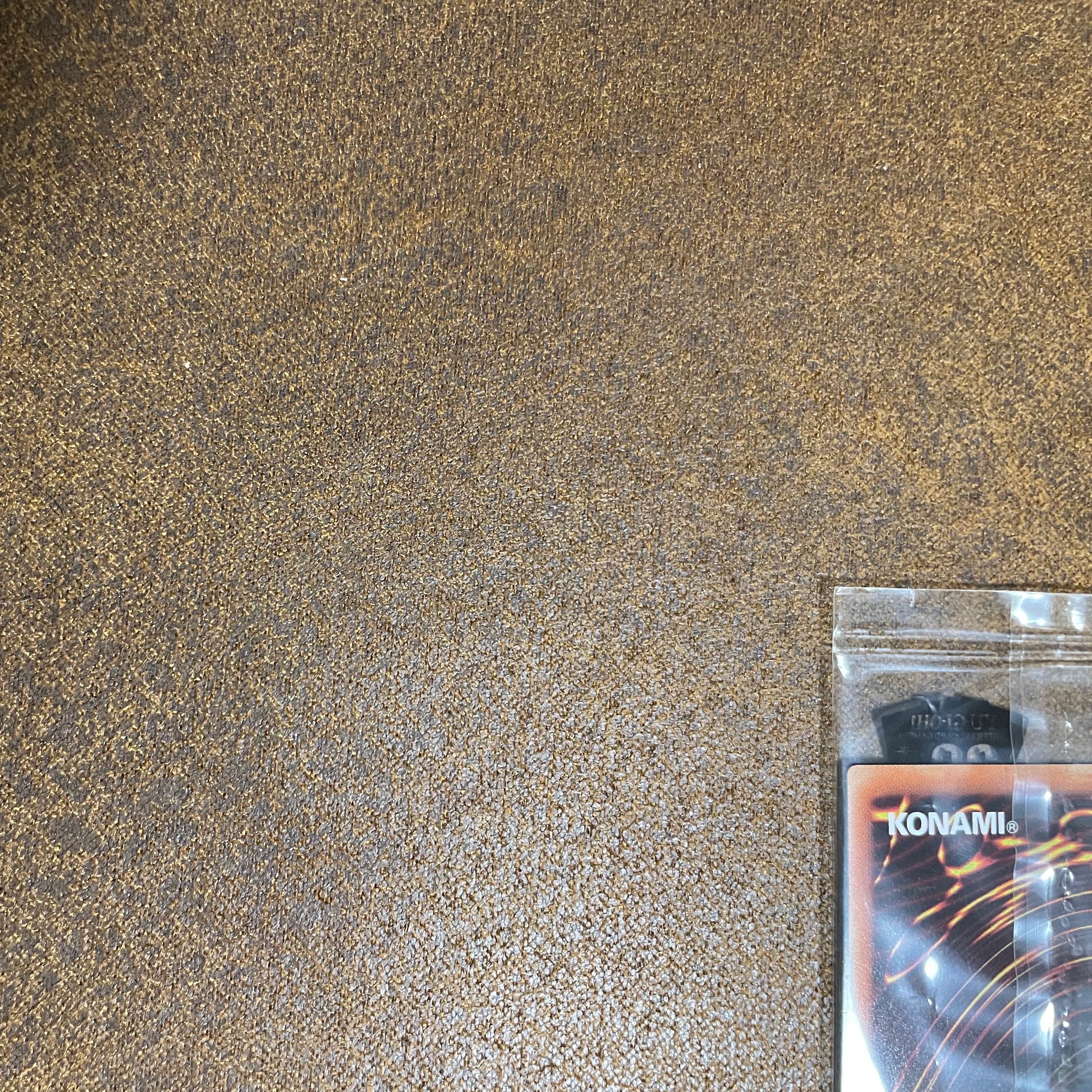 WCS2018ブルーアイズ