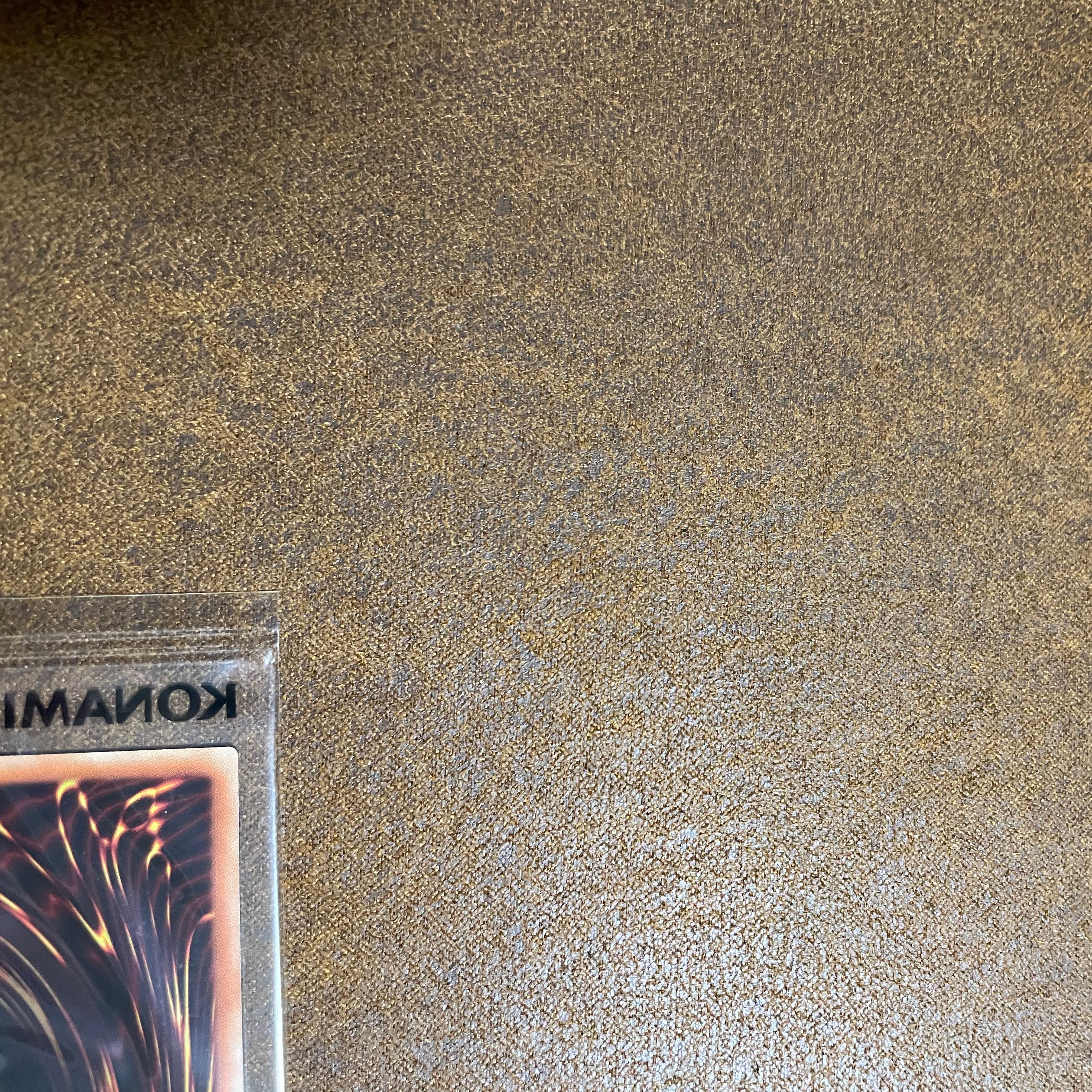 WCS2018ブルーアイズ