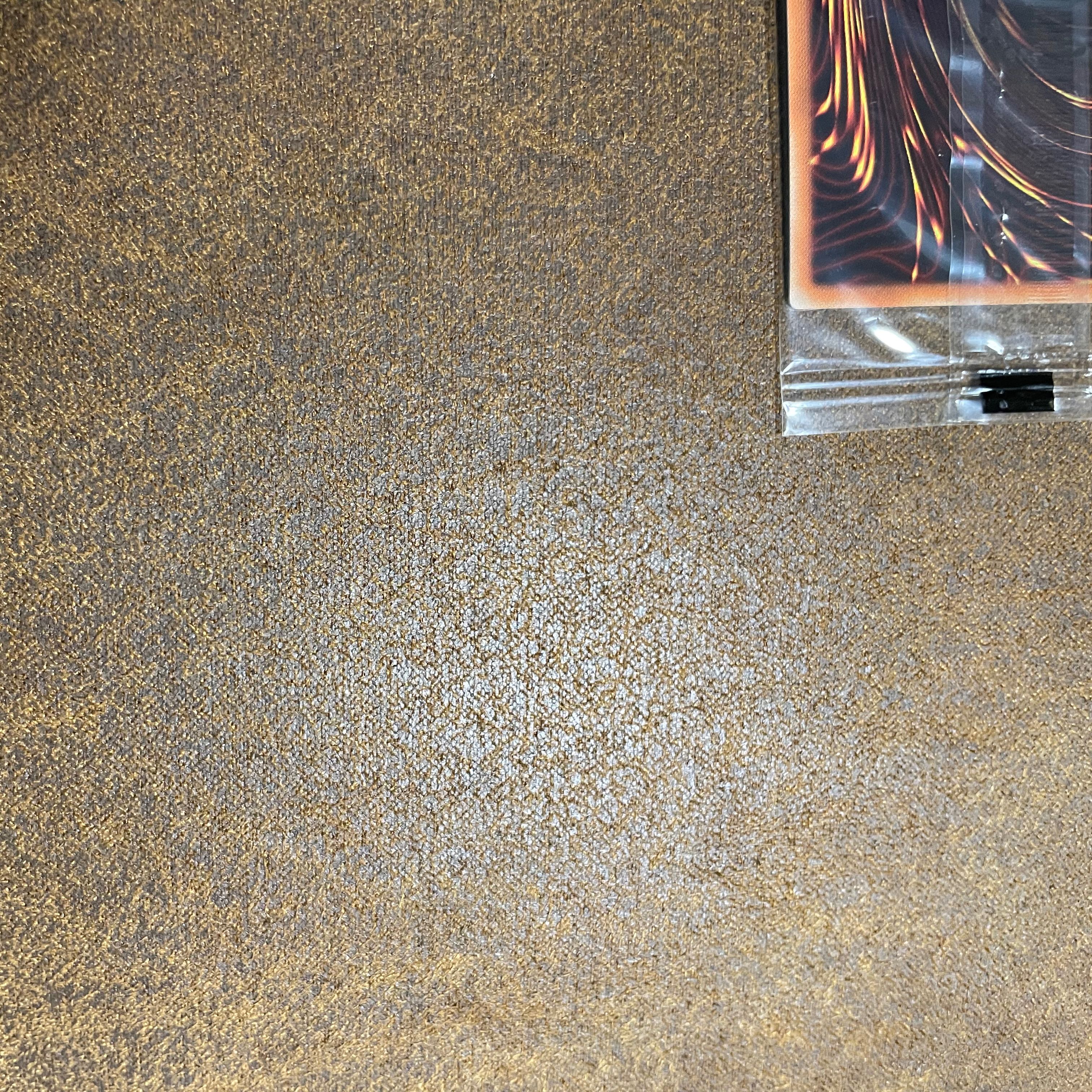 WCS2018ブルーアイズ