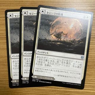 Sejiri Shelter 3 sheets