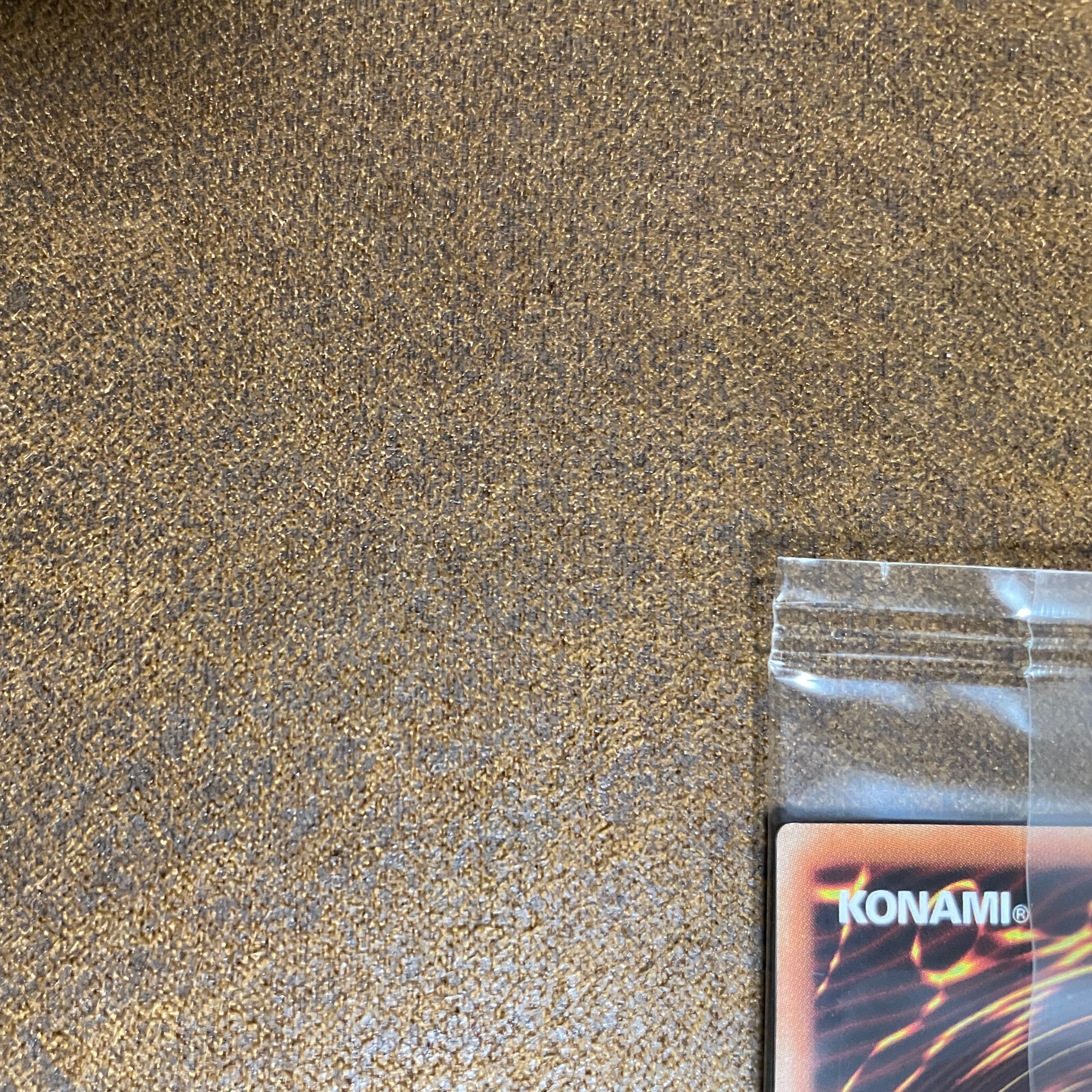 WCS2019レッドアイズ 2 1枚