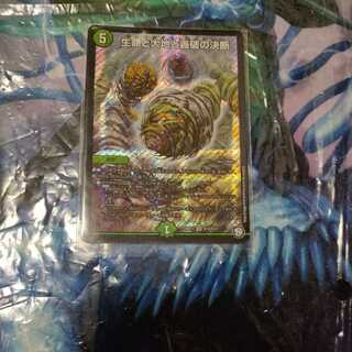 生命と大地と轟破の決断