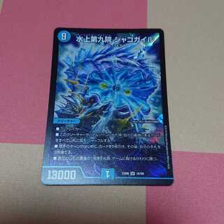 水上第九院 シャコガイル