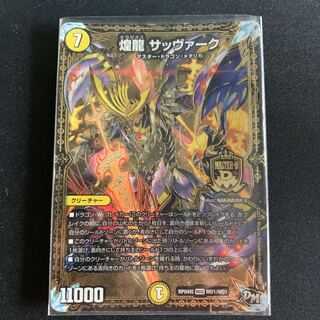 煌龍 サッヴァーク