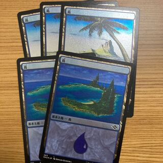 島　エッジング　foil 5枚