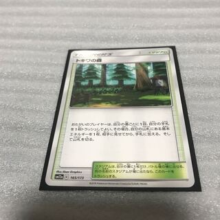 ポケカ　トキワの森　1枚