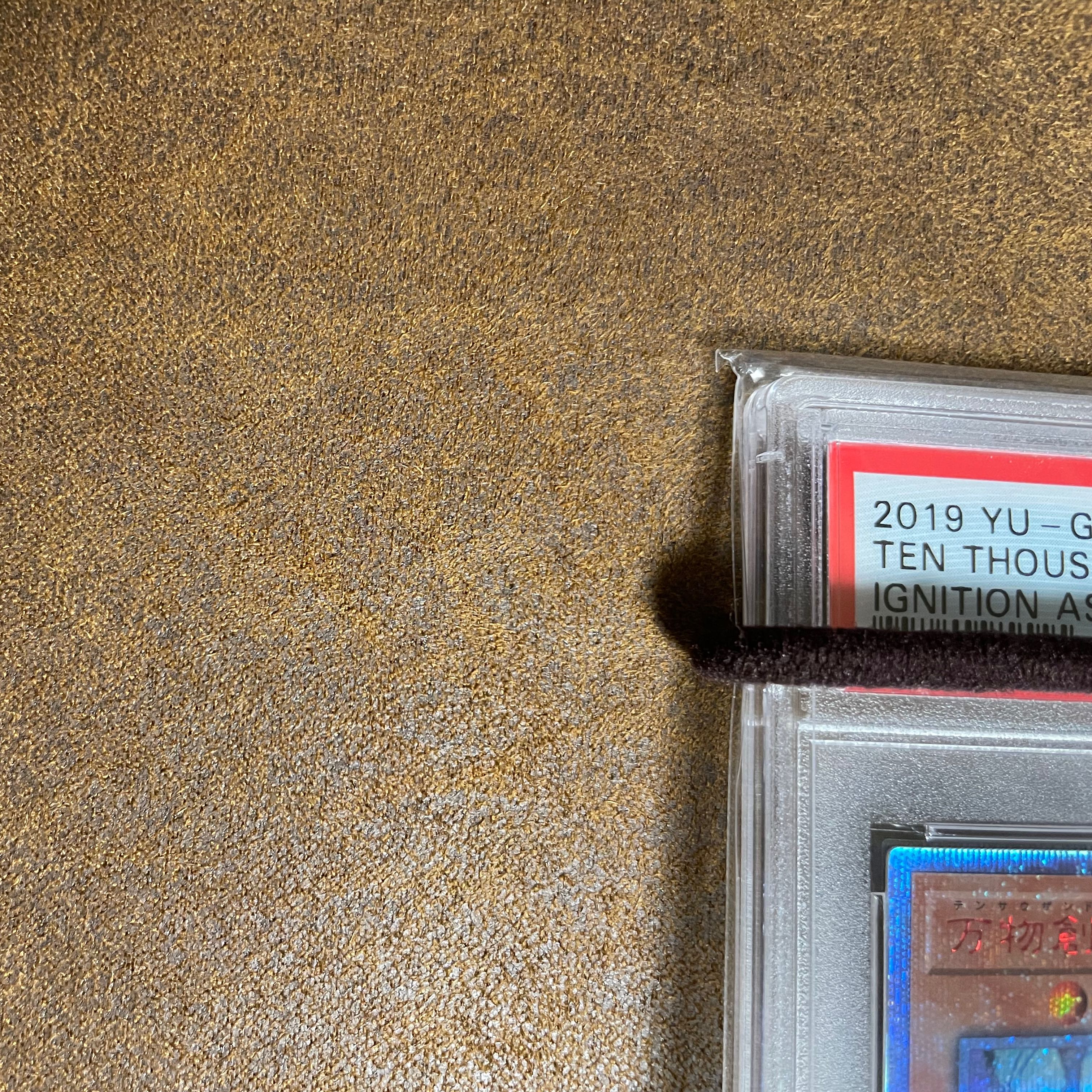 PSA10万物創世龍