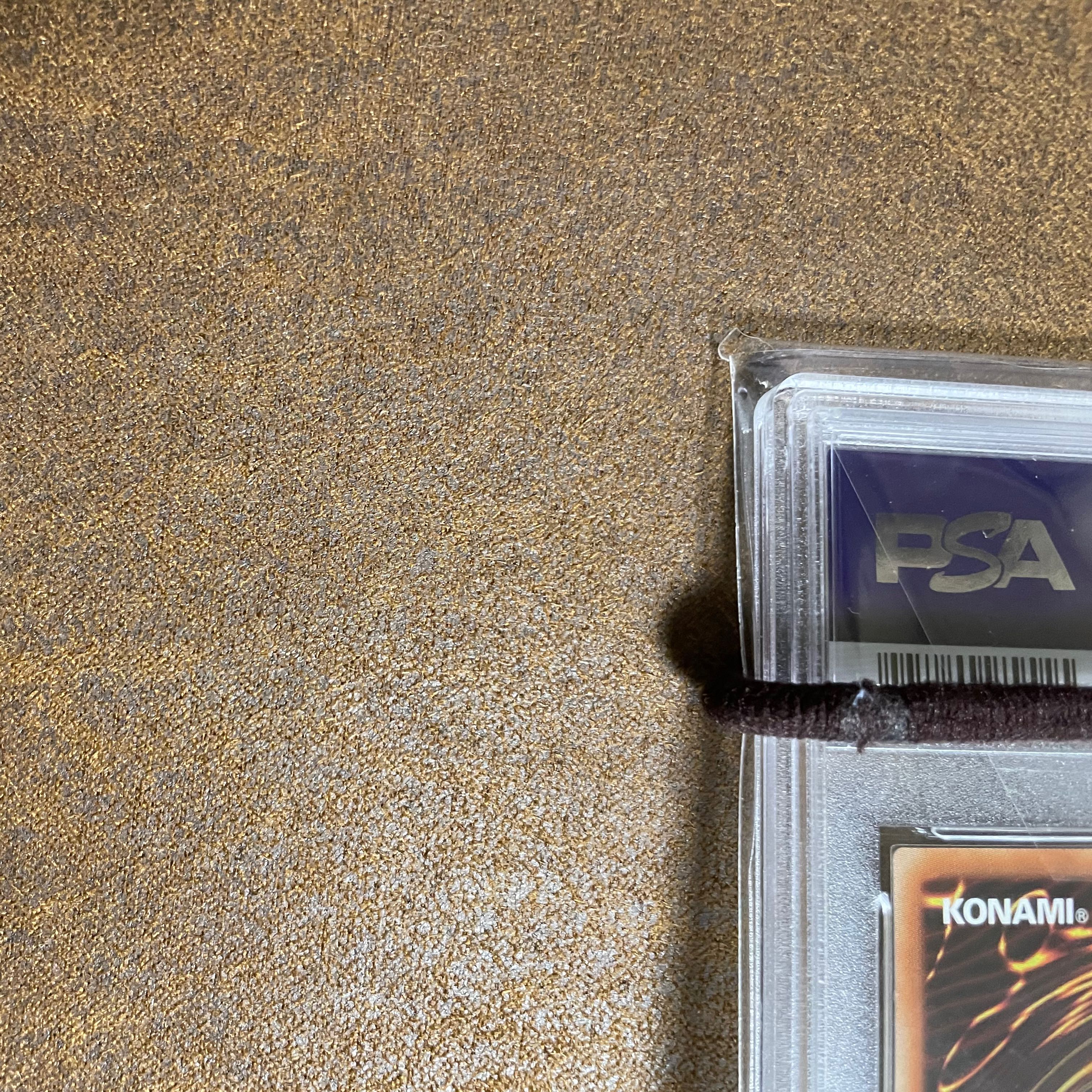 PSA10万物創世龍