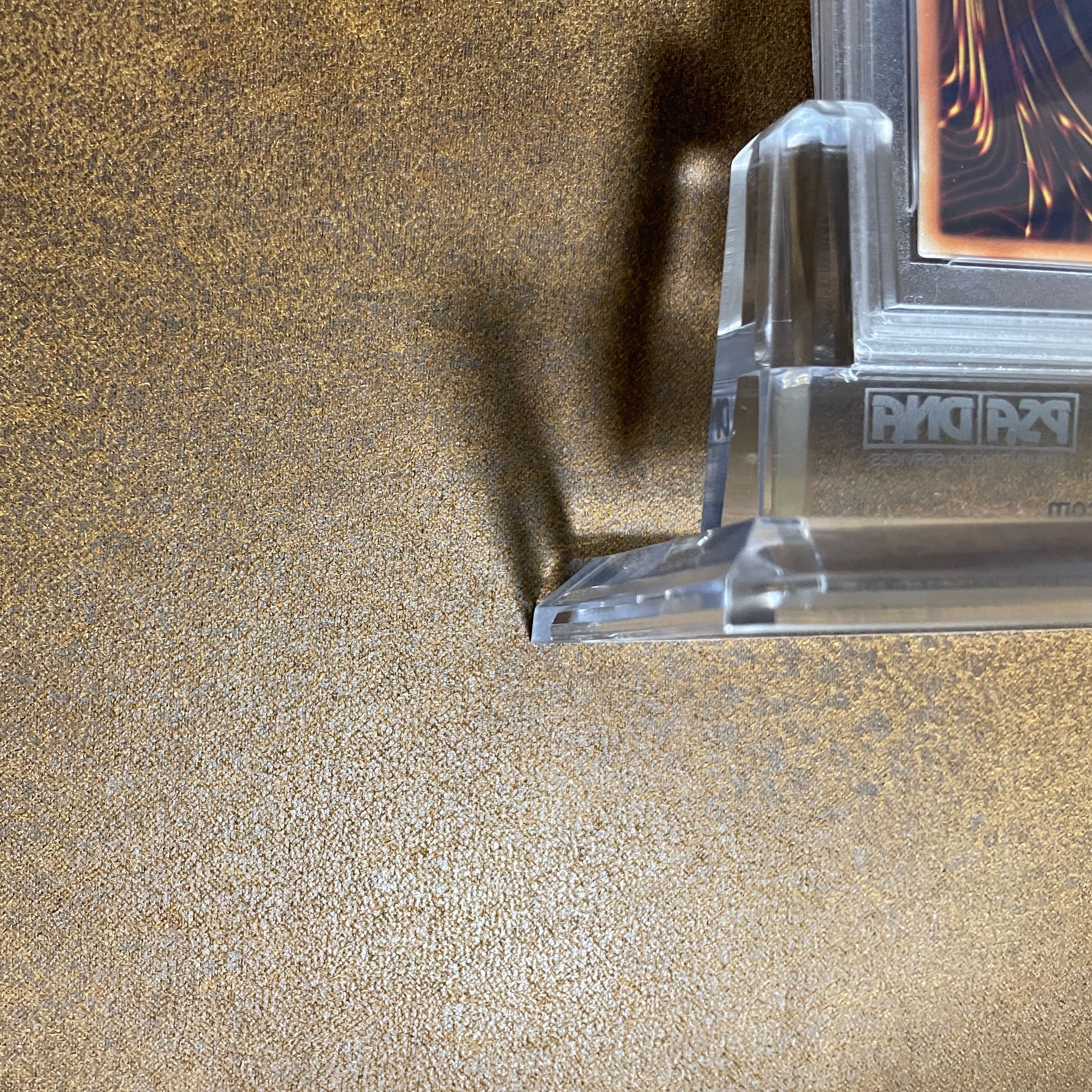 PSA10万物創世龍