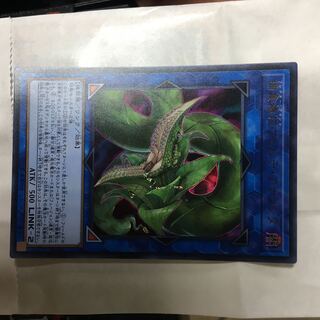 捕食植物ヴェルテ・アナコンダ ウルトラレア