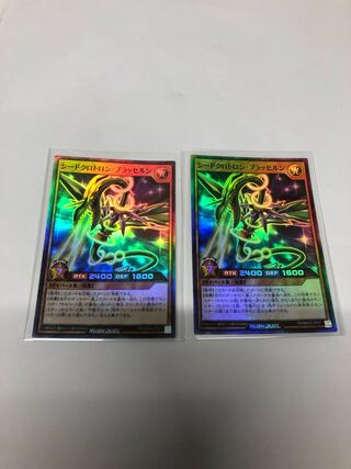 シードクロトロンブラッセルン2枚セット