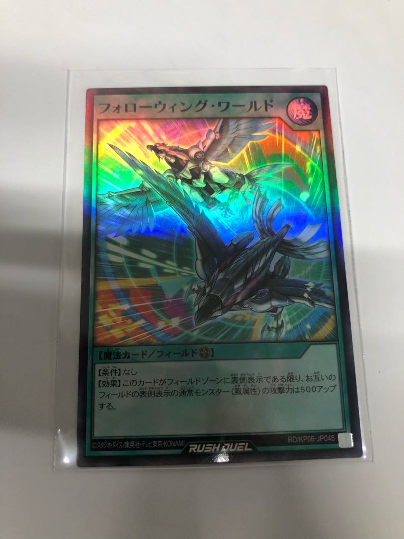 フォローウィングワールド