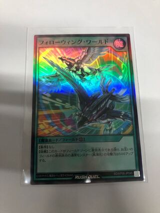 フォローウィングワールド