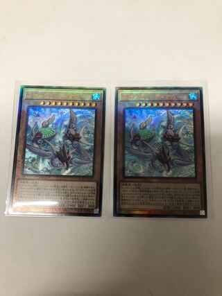 ふわんだりぃず×すのーる アルティメットレア2枚セット