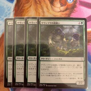 Yavimaya Sapherd Japanese, 4 (2) 4枚