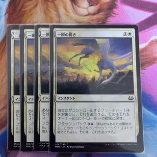 一瞬の瞬き　日本語　4枚