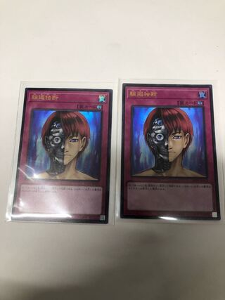 輪廻独断2枚セット