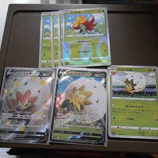 専用ワタシラガV他、チラチーノまとめ売り