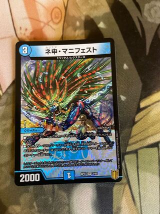 ネ申・マニフェスト