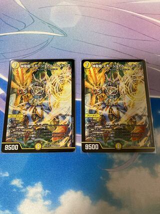 神聖龍 エモーショナル・ハードコア 2枚