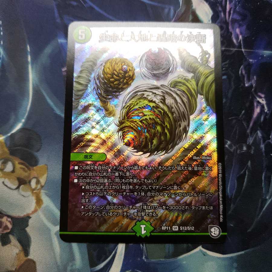 生命と大地と轟破の決断 SR